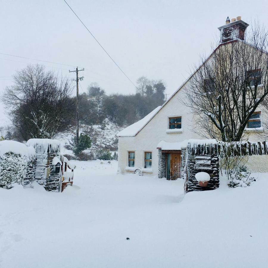 Tinnycross House B&B Ballymore Eustace Dış mekan fotoğraf