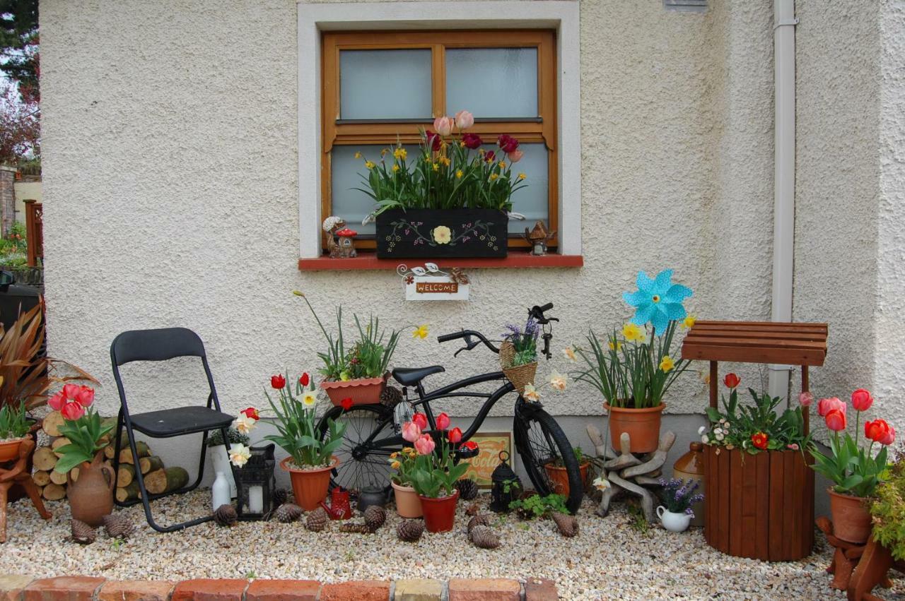 Tinnycross House B&B Ballymore Eustace Dış mekan fotoğraf
